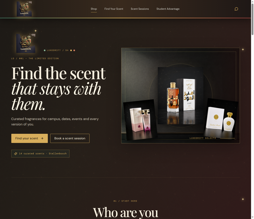 Luxe Dr Fits website preview